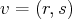 v = (r,s)  