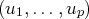 (u ,...,u )
1      p  