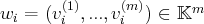         (1)     (m)     m
wi =  (vi ,...,vi  ) ∈ 𝕂  
