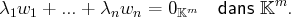 λ1w1  + ...+ λnwn  =  0𝕂m  dans 𝕂m.
