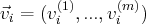        (1)     (m)
⃗vi = (vi ,...,vi  )  