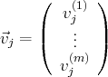      (    (1) )
v j
⃗vj = |(    ...  |)
(m)
vj
