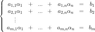 (
||  a1,1α1   +  ... +   a1,nαn  =   b1
|{  a2,1α1   +  ... +   a2,nαn  =   b2
.
|||    ..
(  am,1α1  +  ... +   am,nαn  =   bm
