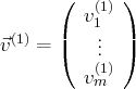        (      )
v(1)
(1)   |   1.  |
⃗v   =  (   ..  )
v(m1) 