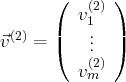       (      )
v(2)
(2)   |   1.  |
⃗v   = (   ..  )
v(m2) 