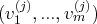   (j)     (j)
(v1 ,...,vm )  